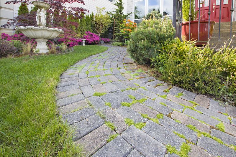 Elegant Paver Pathway